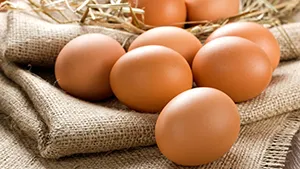 Image de l'ingrédient : Oeufs
